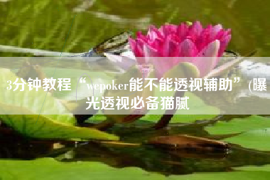 3分钟教程“wepoker能不能透视辅助	”(曝光透视必备猫腻