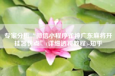 专家分析“微信小程序雀神广东麻将开挂器优点”(详细透视教程)-知乎