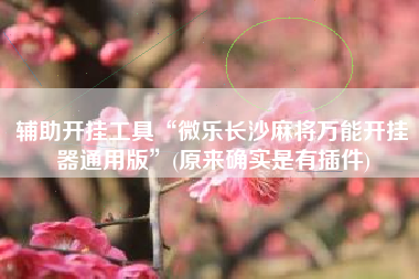 辅助开挂工具“微乐长沙麻将万能开挂器通用版	”(原来确实是有插件)