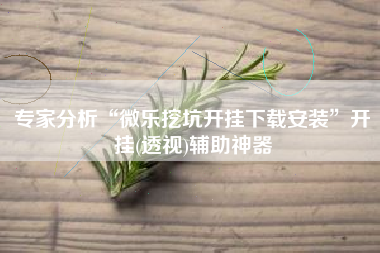 专家分析“微乐挖坑开挂下载安装”开挂(透视)辅助神器