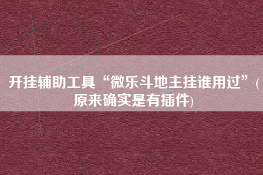 开挂辅助工具“微乐斗地主挂谁用过”(原来确实是有插件)