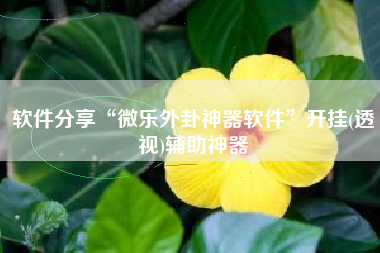 软件分享“微乐外卦神器软件”开挂(透视)辅助神器