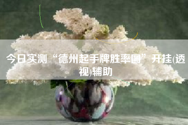 今日实测“德州起手牌胜率图”开挂(透视)辅助