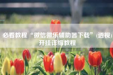 必看教程“微信微乐辅助器下载”(透视)开挂详细教程