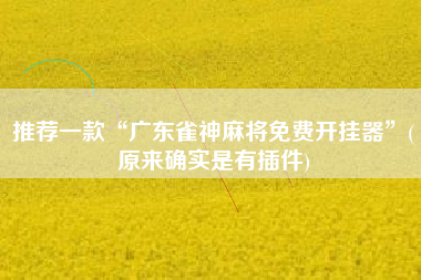 推荐一款“广东雀神麻将免费开挂器”(原来确实是有插件)