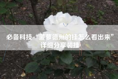 必备科技“菠萝德州的挂怎么看出来	”详细分享装挂