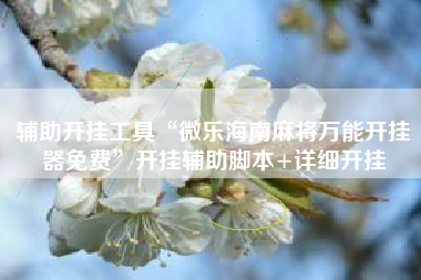 辅助开挂工具“微乐海南麻将万能开挂器免费”开挂辅助脚本+详细开挂